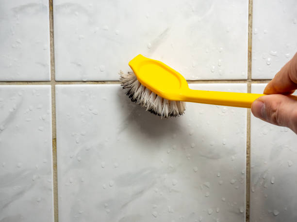 Best White Mold Remediation in Inkster, MI