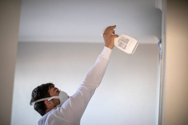 Best Localized Mold Remediation (e.g., coastal areas, humid climates) in Inkster, MI