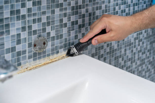 Best Mold Testing and Inspection Services in Inkster, MI