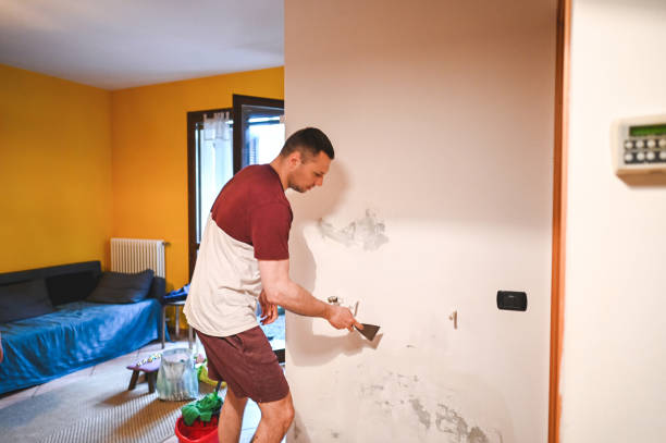 Best Insurance-Related Mold Remediation in Inkster, MI